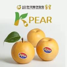韩国 梨 1只 挺大的