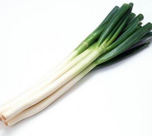 大葱 青葱 1根