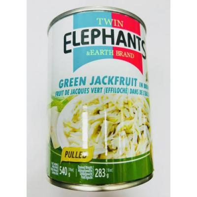 Elephants 泰国 菠萝蜜丝罐头 540G